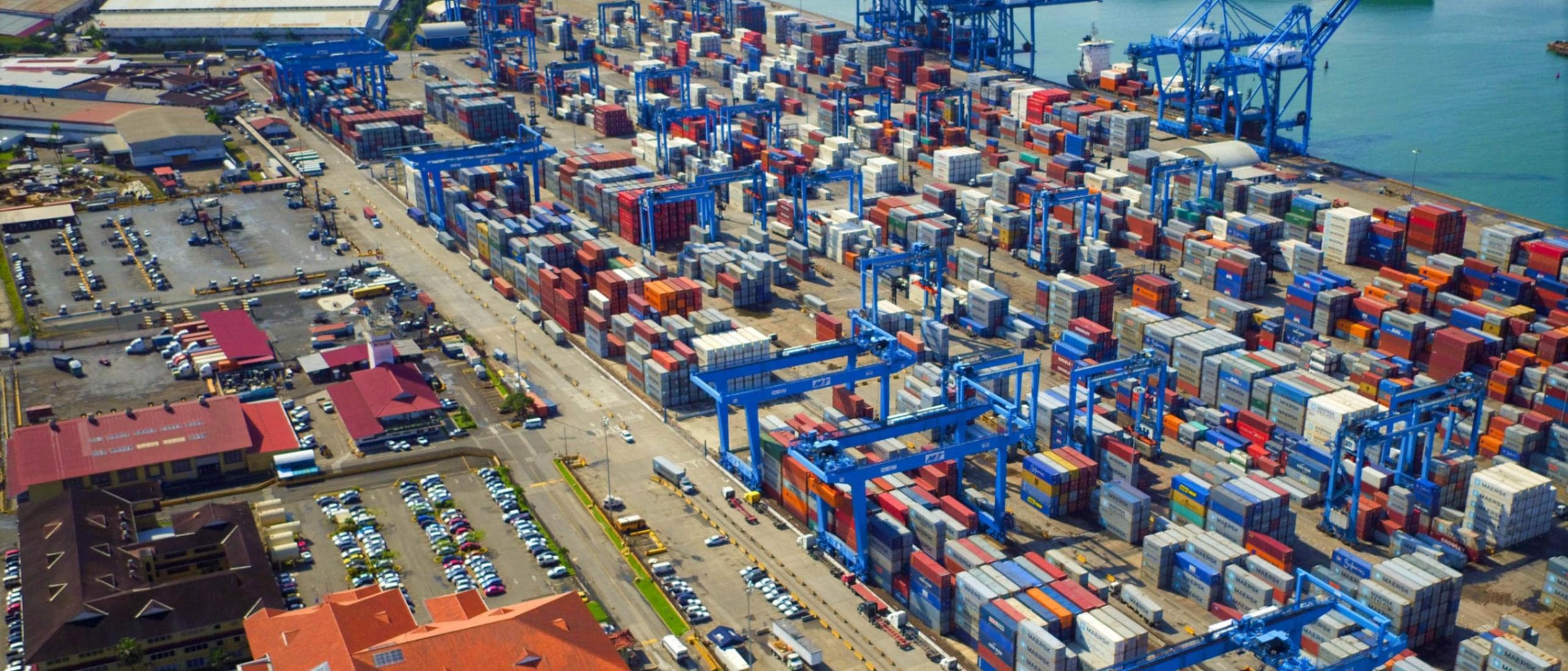 Sectores Especializados